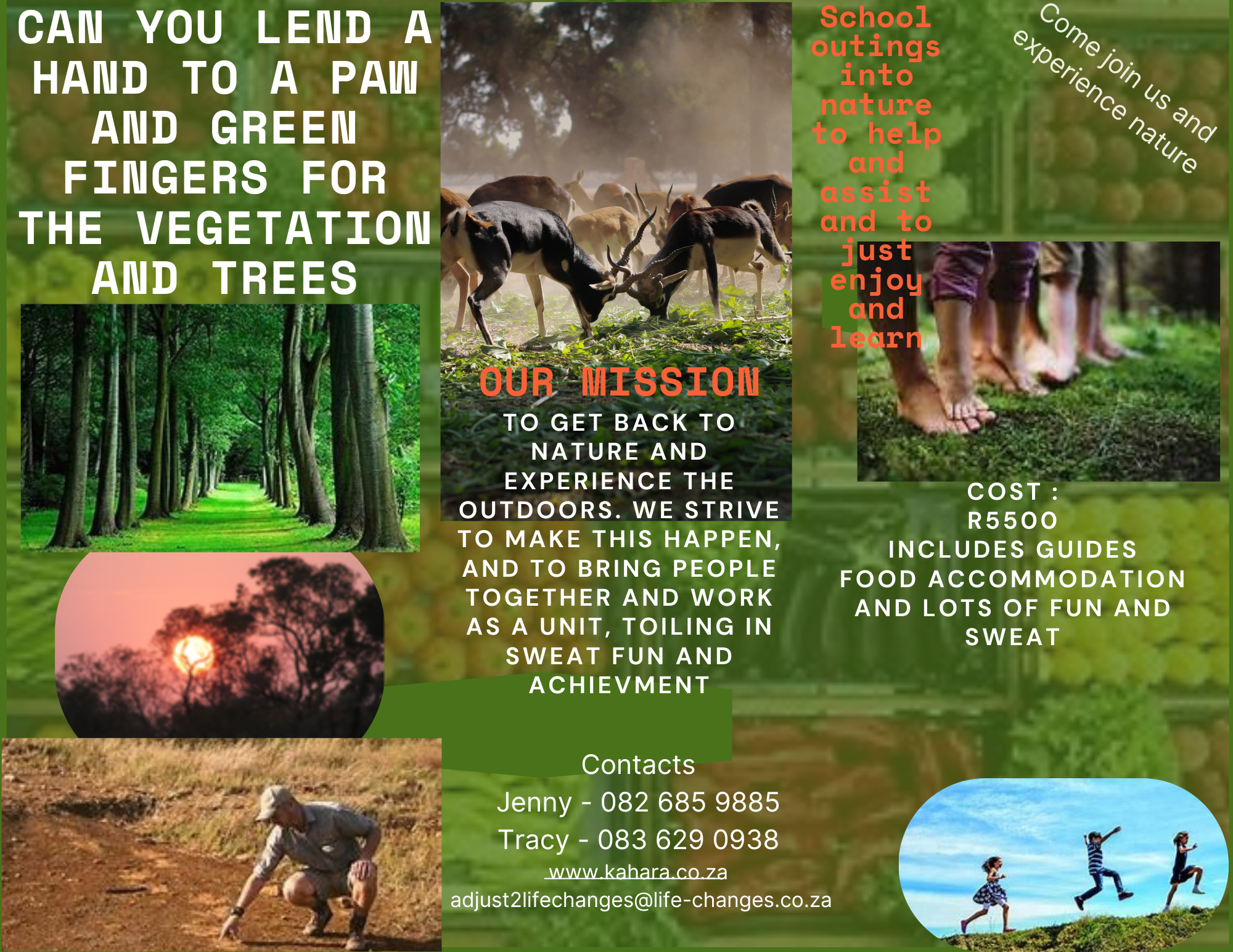 Camping Option Dinokeng.pdf